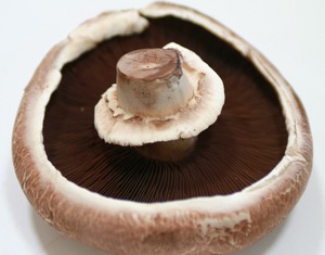 Mushrooms - Portobello - Kerikeri Organic