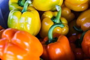 Capsicum - Red - Kerikeri Organic