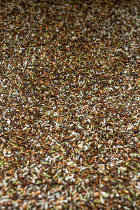 Caffeine Free: Coconut & Manuka