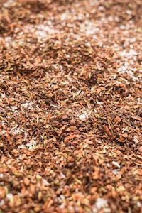 Lime and Manuka Honeybush