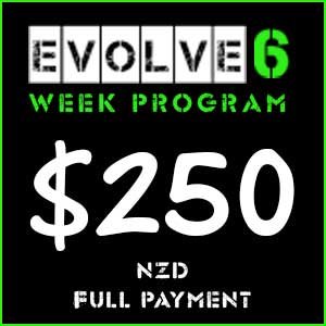 Evolve6 Week Online Program (full price)