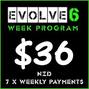 Evolve6 Week Online Program (weekly payments)