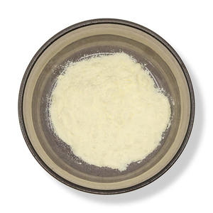 Tasty Cheddar Cheese Powder 500g