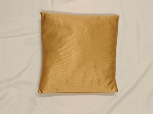 Mustard Glow Minimalist Accent Cushion