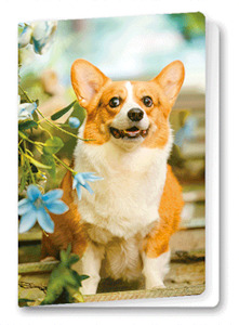 3D Corgi Birthday card