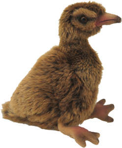 New Zealand: Weka Sound Bird 15cm