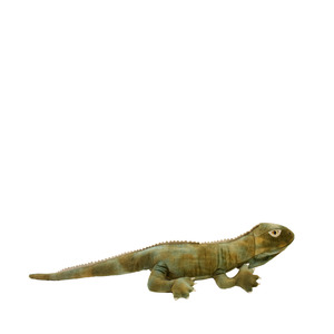 New Zealand: Soft Toy - Trevor the Tuatara