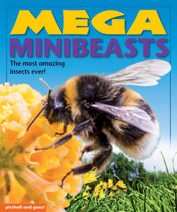 Educational: Mega MiniBeasts