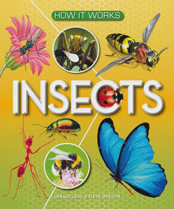 Educational: How It Works : Insects