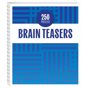 Puzzles: 250 Puzzles Brain Teasers Book RRP $14.99