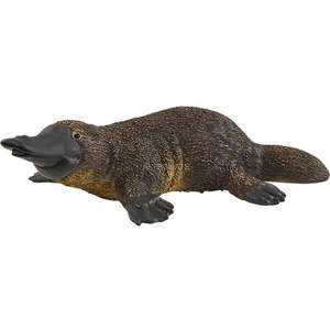 Schleich Toys: Schleich | Platypus