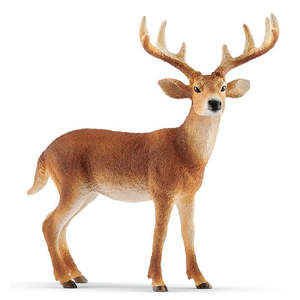 Schleich Toys: Schleich | White-Tailed Buck