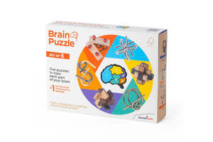 Puzzles: Brain Puzzle (Set of 6)