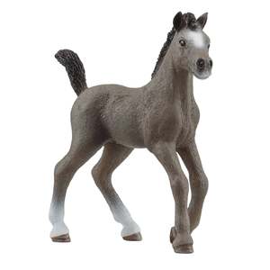 Schleich | Selle Francias Foal