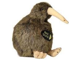 Antics | Brown Kiwi Sound Bird