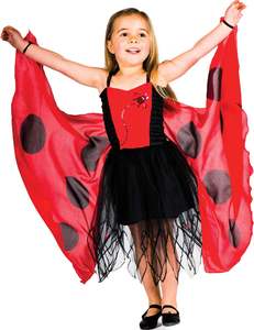 Fairy Stuff: Gollygo Ladybird  fairy Costume