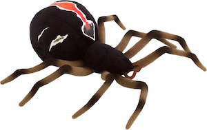 Kiwiana: Katipo Spider Antics