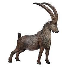 Ages 4 7 Years Old: CollectA Alphine Ibex