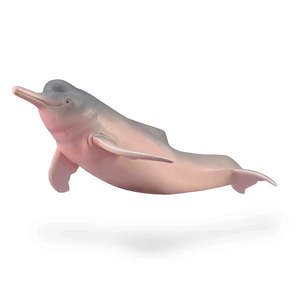 CollectA Amazon River Dolphin
