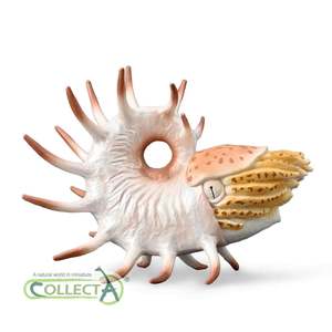 Ages 4 7 Years Old: CollectA Cooperoceras