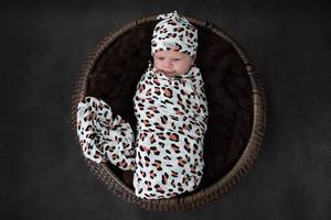 Baby Wraps Amp Swaddle: Catamount Bamboo Jersey Swaddle Wrap
