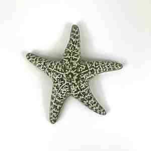 Ceramic Sea Star - Sage