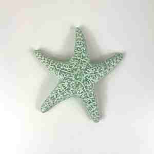 Objects Ornaments: Ceramic Sea Star - Mint