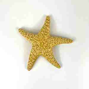 Ceramic Sea Star - Yellow