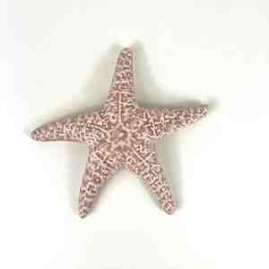 Objects Ornaments: Ceramic Sea Star - Pink