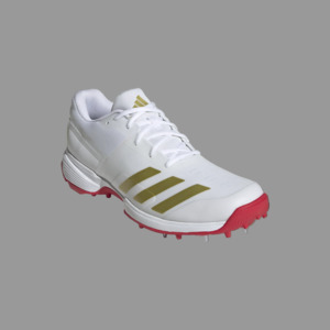Adidas Adiprene 22YDS Cricket Shoes