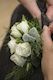 Corsage Pin