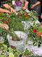 Group Christmas Wreath Making Workshops