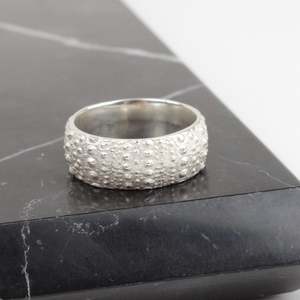 Artist Rachel Lambert: Kina band