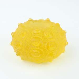Sputnik Urchin - Yellow