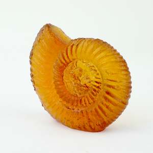 Artist Rebecca Heap: Ammonite - Orange