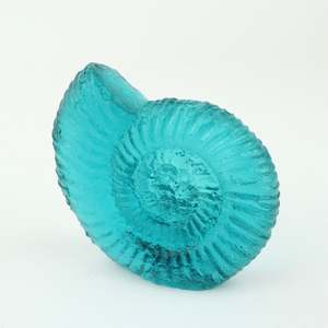 Ammonite - Jade