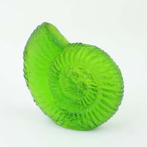 Ammonite - Green