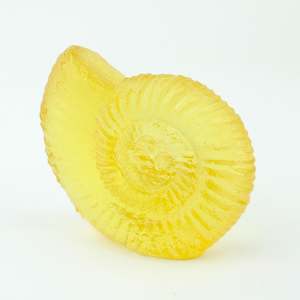 Ammonite - Yellow