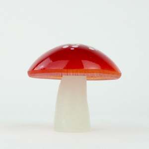 Lorraine Natusch: Red Mushroom - small