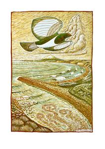 Rob Barrington: Kereru @ Whanganui River