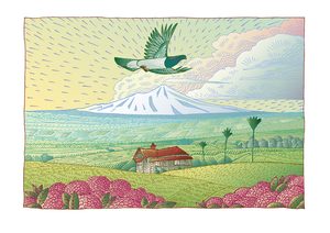 Kereru @ South Taranaki from line drawing