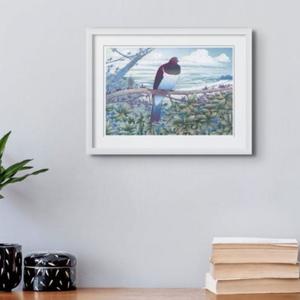 Rob Barrington: Kereru @ Tawharanui