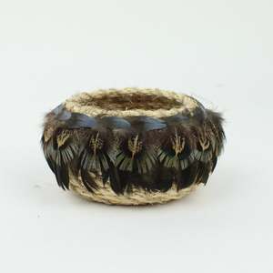 Jo Old 1: Small Round Nest - spoonbill duck