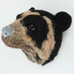 Spectacled Bear