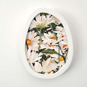 Charlotte Suggate: Petal Promise