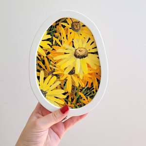 Charlotte Suggate: Sunny Days