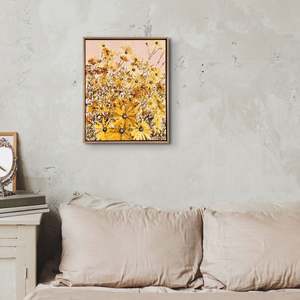 Charlotte Suggate: Petals of Sunshine