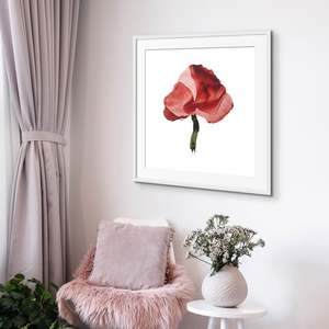 Susan Skelton: Blooms