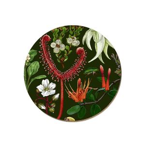 Tanya Wolfkamp: Coaster - NZ plants