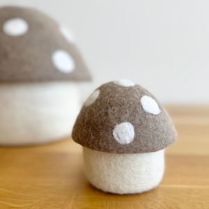 Toadstool box - Fawn